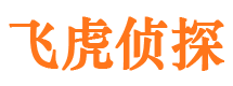 泰山出轨调查